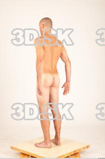 Body texture of Hanus 0019